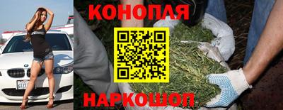 тгк Будённовск