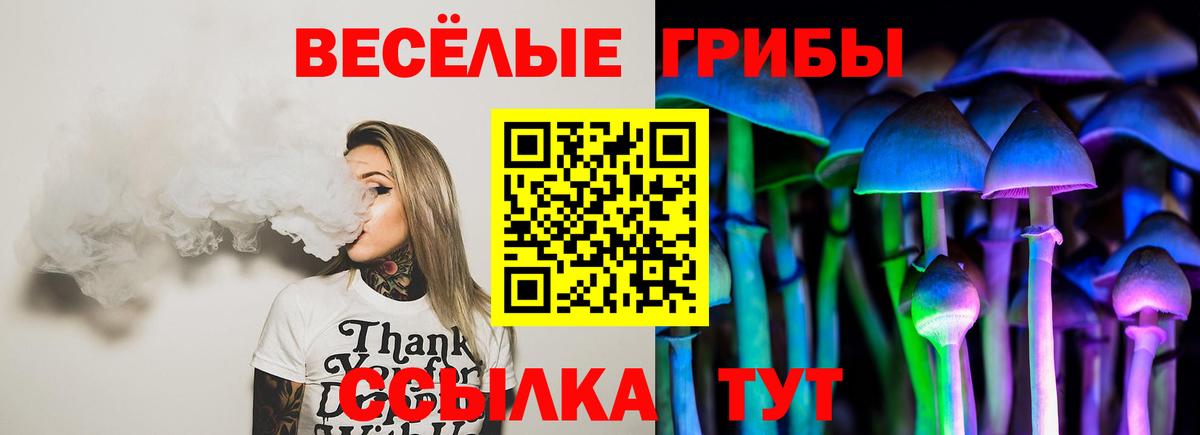 Салават  Галлюциногенные грибы GOLDEN TEACHER  Вход с VPN 